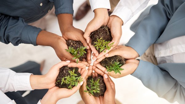 The Benefits of Eco-Friendly Cleaning for Your Business and Meeting Your Sustainability Goals